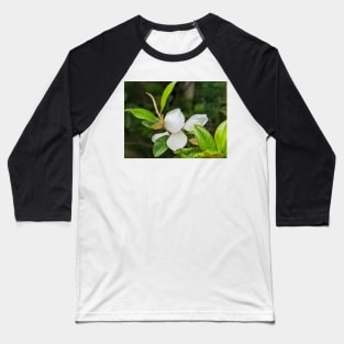 Magnolia Bloom 1 Baseball T-Shirt